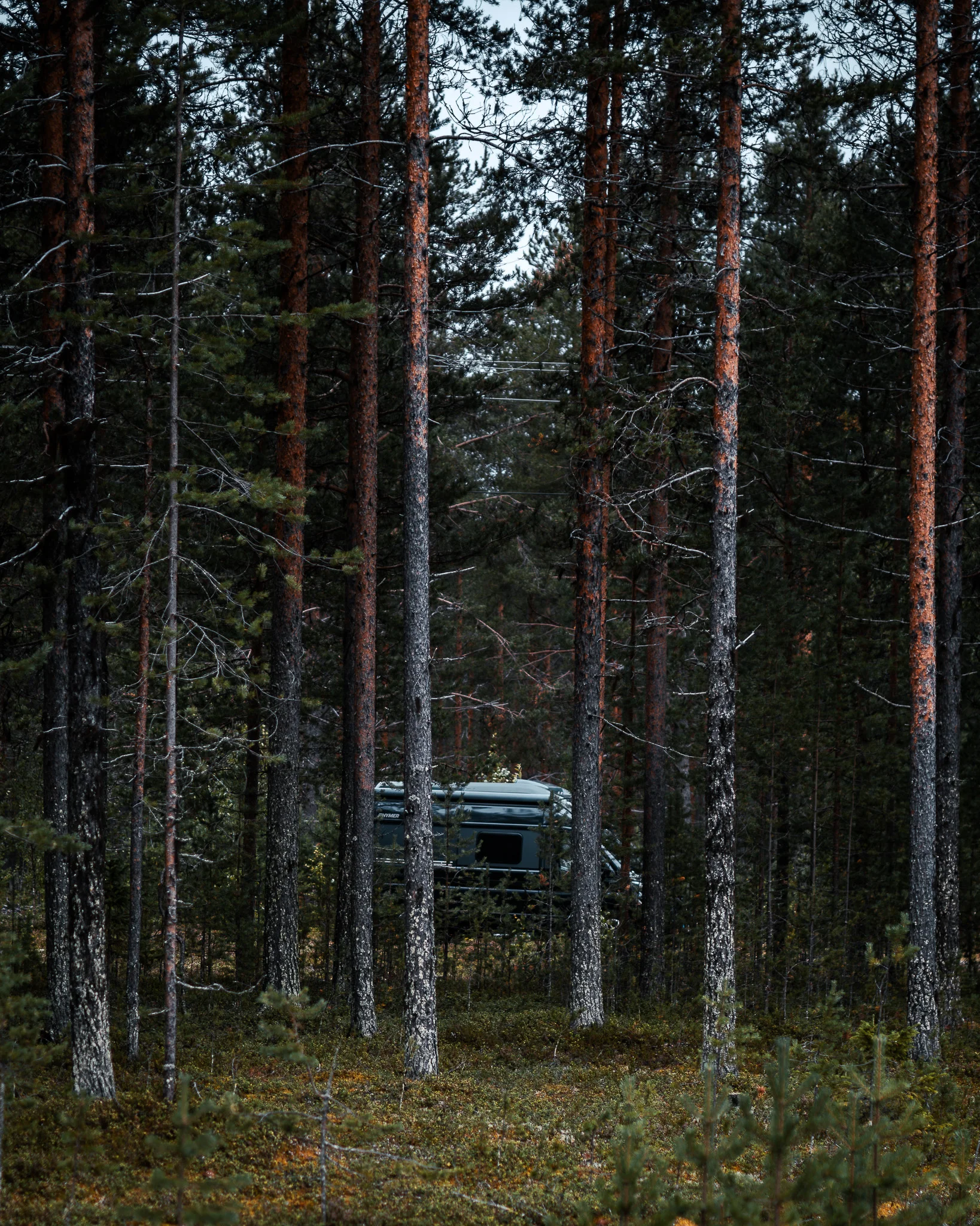 Automotive Allgäu – vehicle in the golden hour