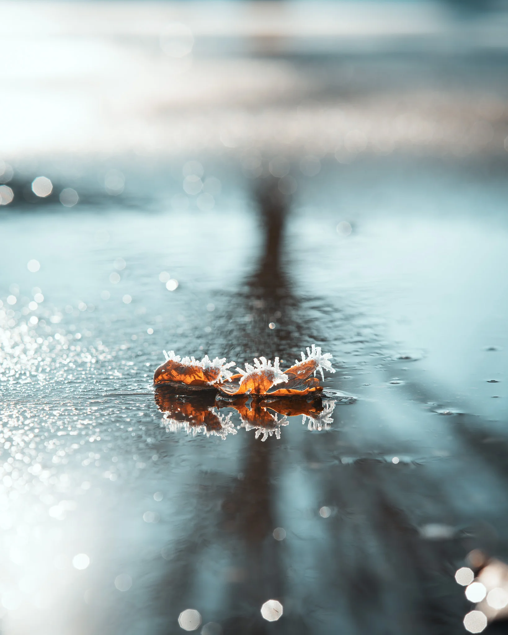 Minimalistische Fotografie Allgäu – Geometrische Abstraktion