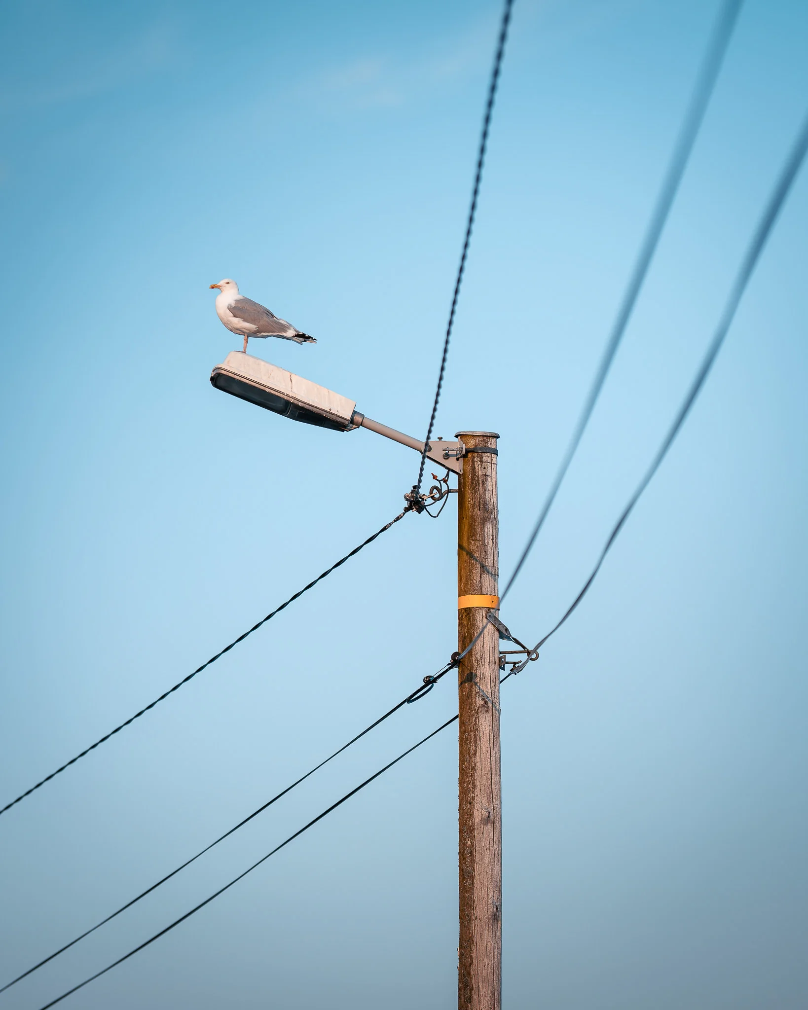 Abstract photography Altusried – nature reduced to essentials